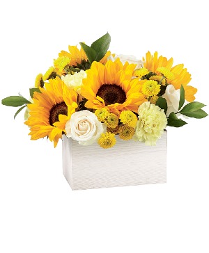 Sweet as Lemonade Arrangement