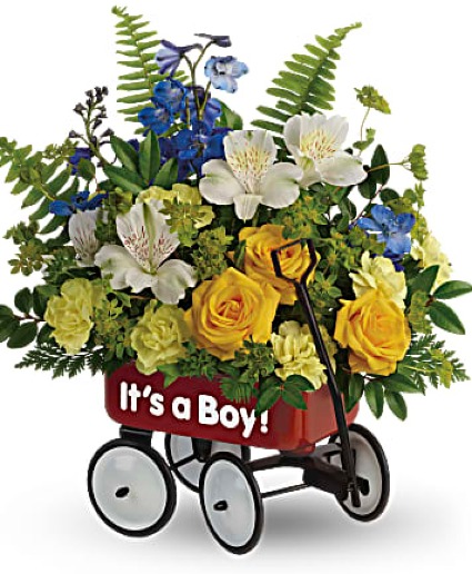 Sweet BabyWagon New Baby