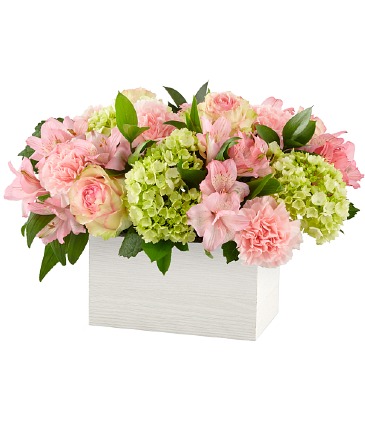 Sweet Charm Arrangement in Winnipeg, MB | CHARLESWOOD FLORISTS