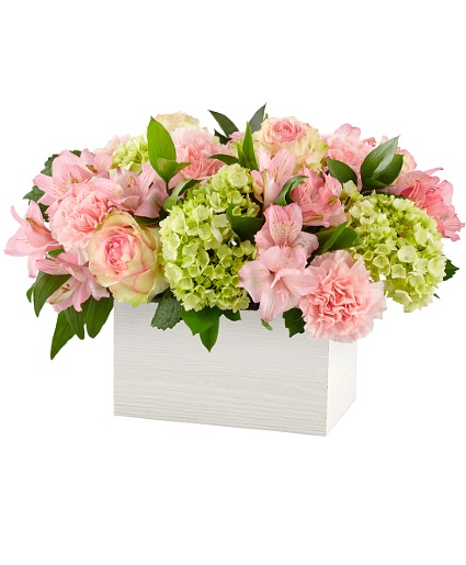 Sweet Charm Arrangement