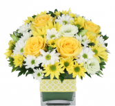 Sweet Citrus fresh arrangement