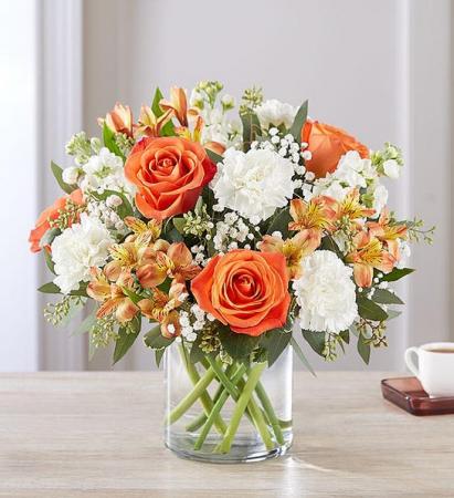 sweet citrus  summer flowers