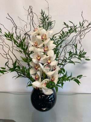 Sweet Cymbidium 
