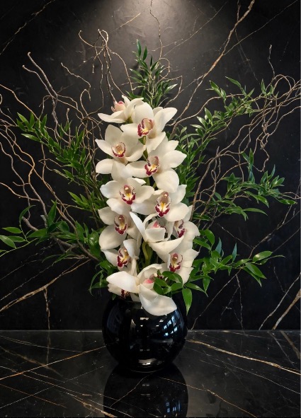 Sweet Cymbidium 