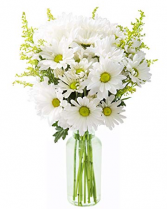 Sweet Daisies Vase