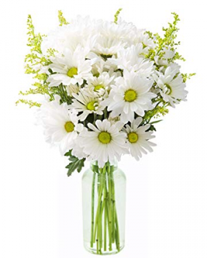 Sweet Daisies Vase