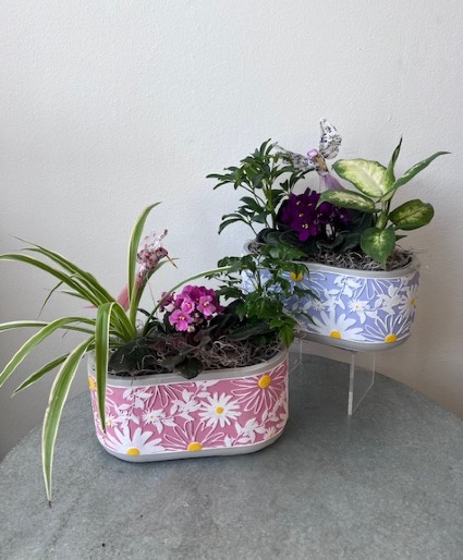 Sweet Daisy Planter 