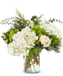Sweet Blooms 