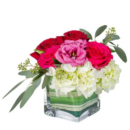 Sweet Dreams Arrangement