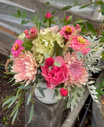 Sweet Gathering   in Klamath Falls, OR | Yarrow in Bloom