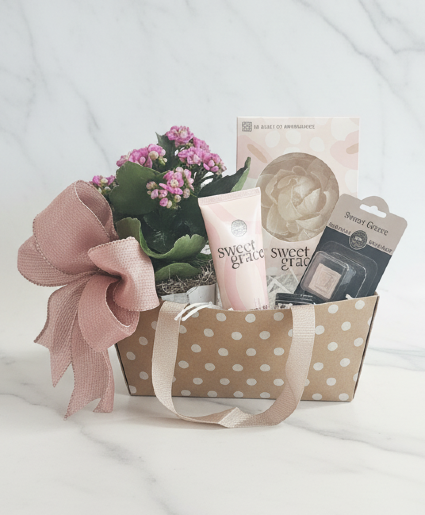Sweet Grace Gift Bundle 
