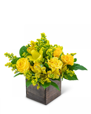 Sweet Honey Flower Arrangement