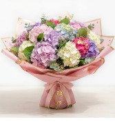 Sweet Hydrangea 