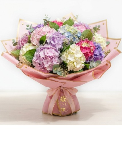 Sweet Hydrangea 