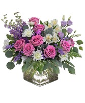 Sweet Lavender Blooms 