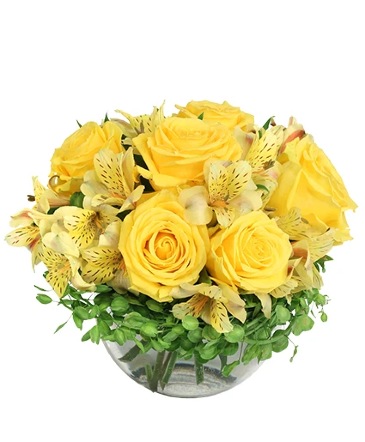 Sweet Lemon Roses Rose Arrangement in Frankfort, KY | LOUISE'S FLOWERLAND