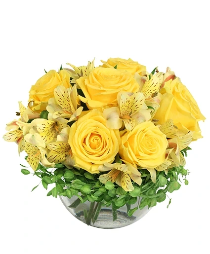 Lemon Roses Images Sweet Lemon Roses Rose Arrangement in Brentwood, TN - BRENTWOOD FLOWER ...