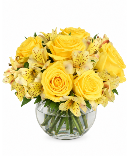 Sweet Lemon Roses Roses, Alstros