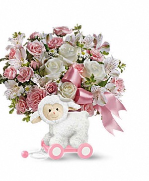 Sweet little lamb  