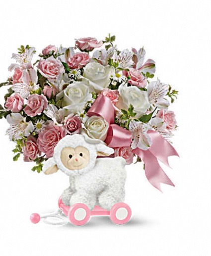Sweet little lamb  