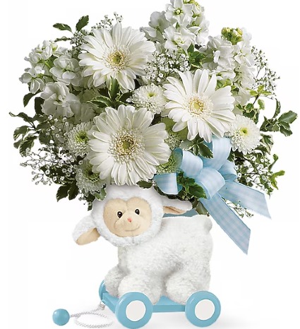 Sweet Little Lamb 