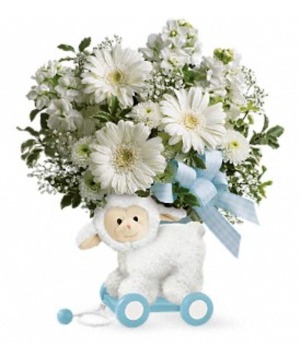 Sweet little lamb (baby blue), or pink Baby girl 