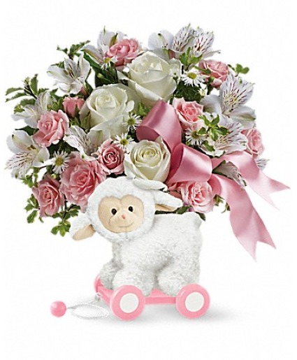 Sweet Little Lamb Girl Baby