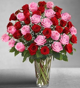sweet love 48 roses