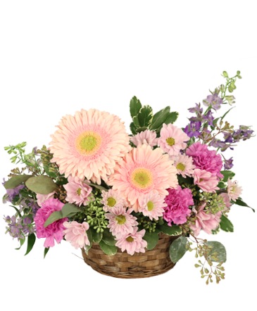 Sweet Lover Basket Arrangement in Albany, NY | Ambiance Florals & Events