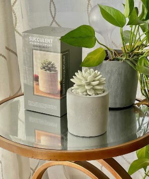 ceramic pots for indoor plants Large Minute Ceramic Plant Pot & Saucer — Green Layer