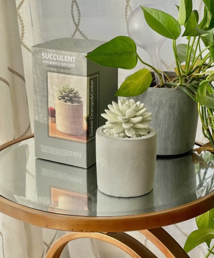 Sweet Orange Cedar Succulent Diffuser 