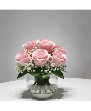 Sweet Pink 