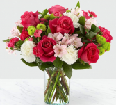 Sweet  my pretty  