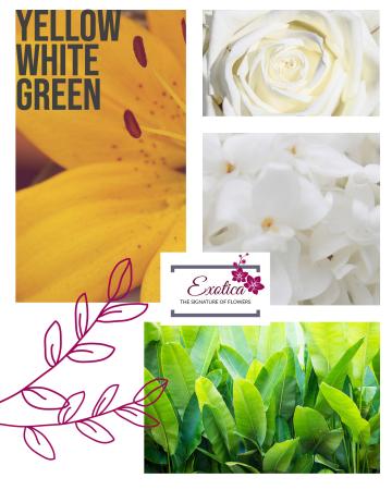 Sweet Smile Designer Choice- Standing Spray