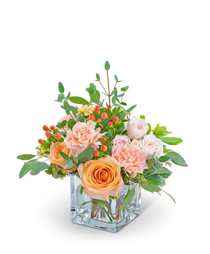 Sweet Sorbet Flower Arrangement