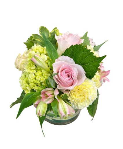 Sweet Spring 