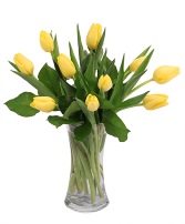Sweet Sunshine Tulips Vase Arrangement