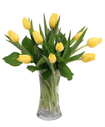 Sweet Sunshine Tulips Vase Arrangement in Albany, NY | Ambiance Florals & Events