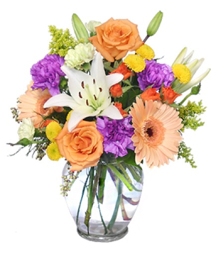 Sweet Surprise - 00319 