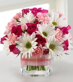 Sweet Surprise 