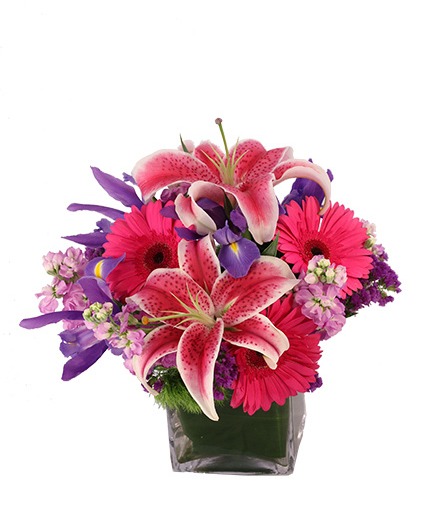 Sweet Blooms 