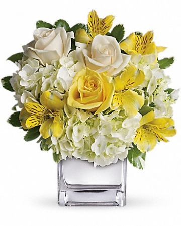 Sweetest Sunrise T403-3 10.5"(w) x 11.5"(h)