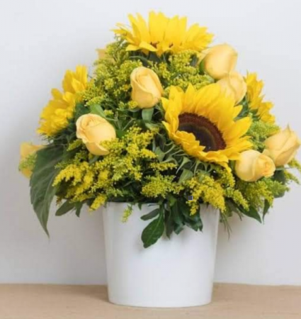 Sweetie yellow Gift