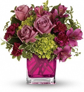 Sweetly Splendid 
