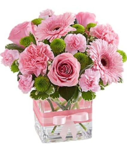 Sweetness New Baby Flowers