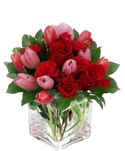 Sweetness valentines