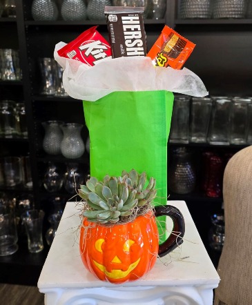 Sweets & Succulents  in Acworth, GA | Davis Flowers