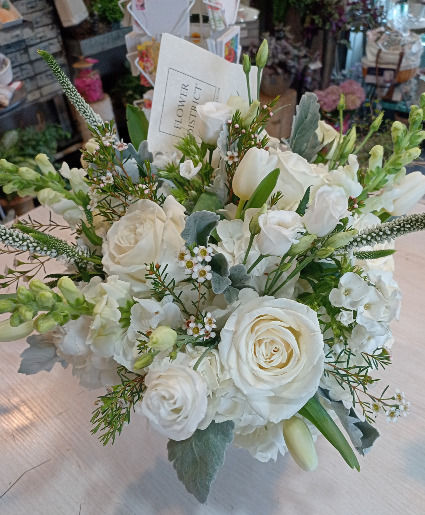 Winter White  Designer's Choice