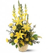 Sunny Yellows Sympathy Arrangement