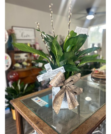Sympathy Plant with Handmade Box Plant in Oxford, MS | Amy's Flower Co.
